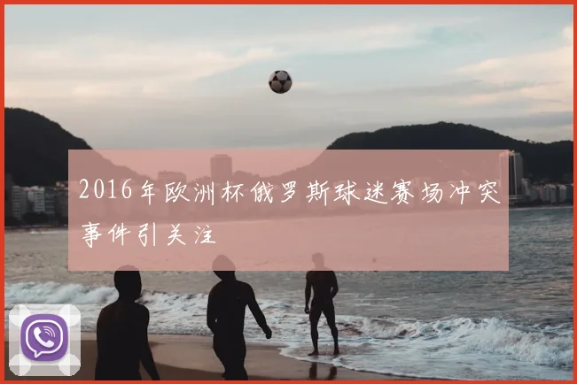 2016年欧洲杯俄罗斯球迷赛场冲突事件引关注