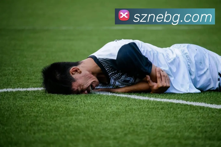 世界杯app平台APP 封面图